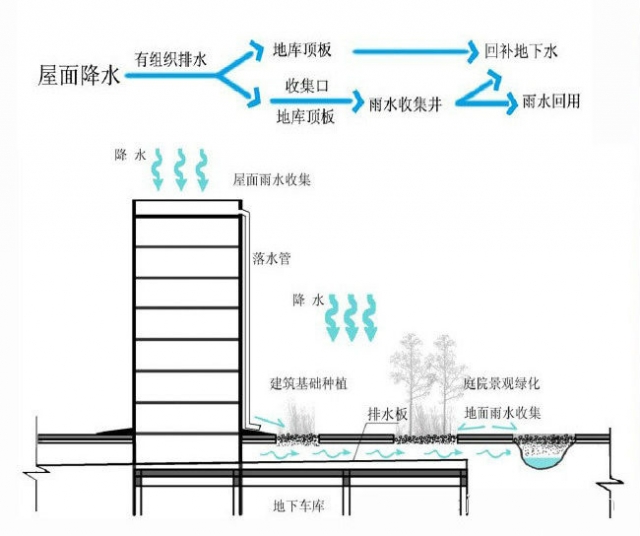 屋顶雨水.jpg